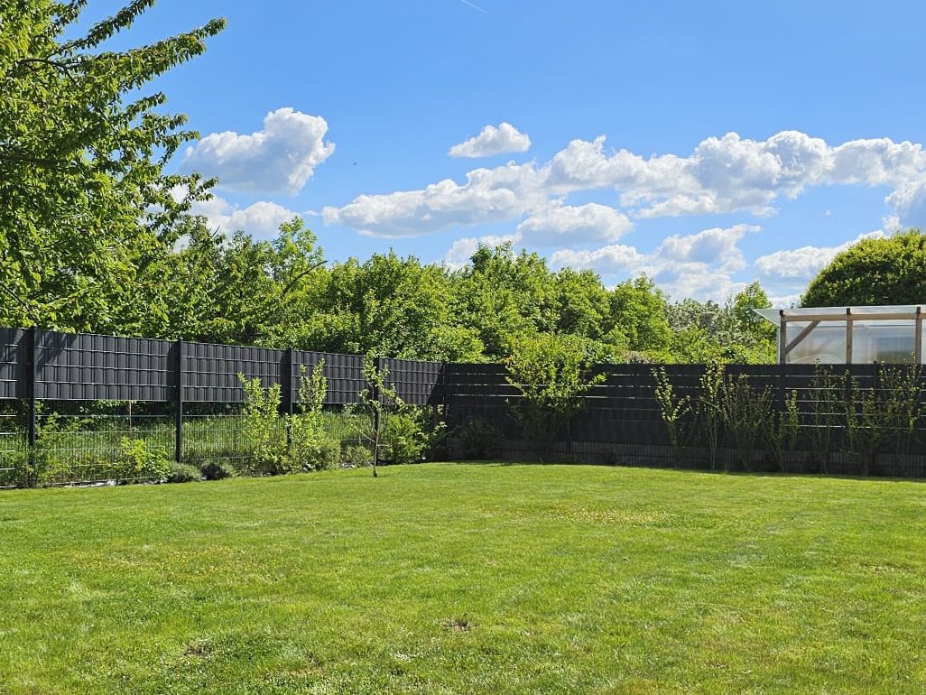 Immergrün Braunlage Garten & Baumpflege